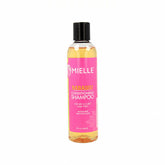 Shampoo and Conditioner Babassu (240 ml) - Mielle Maroc - Aylal Beauty